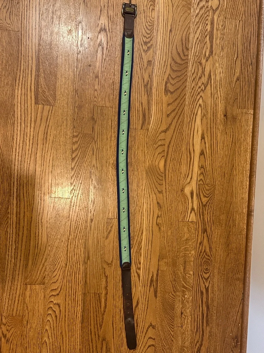 Mint Green Embroidered Leather Belt with Dark Trim